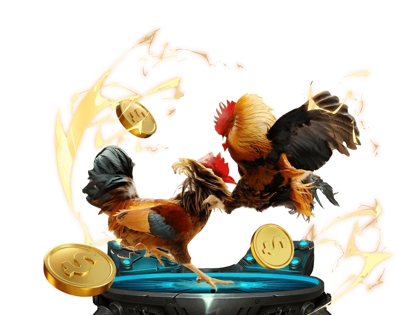 Khuyến mãi và ưu đãi hấp dẫn